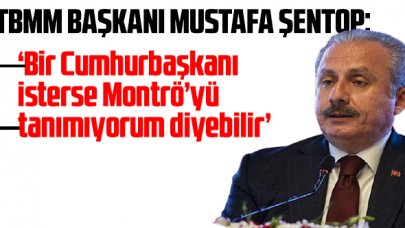 TBMM Başkanı Şentop: 'Teknik olarak Cumhurbaşkanı Montrö'yü tanımıyorum diyebilir'