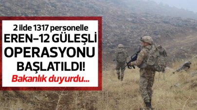 Şırnak ve Siirt'te Eren-12 Güleşli Operasyonu başlatıldı!