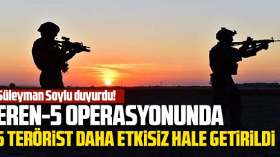 Eren-5 Operasyonu: Mardin'de 5 terörist daha etkisiz hale getirildi