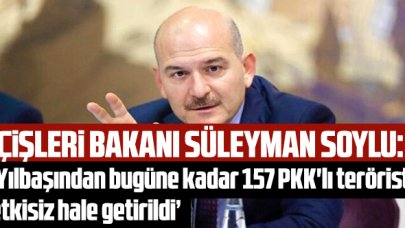 Bakan Soylu: 'Yılbaşından bugüne kadar 157 PKK'lı terörist etkisiz hale getirildi'