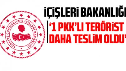 İçişleri Bakanlığı: 1 PKK mensubu daha teslim oldu