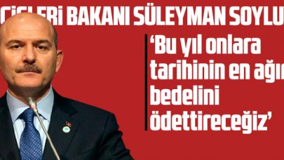 Bakan Süleyman Soylu: 'PKK'nın yurt içindeki silahlı eleman sayısı 300'ün altına düştü'