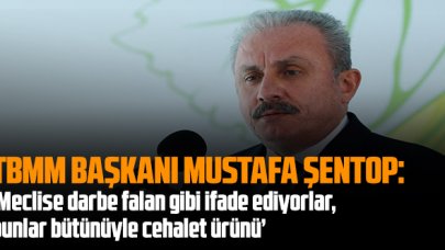 TBMM Başkanı Şentop: 'Meclise darbe' falan gibi ifade ediyorlar, bunlar bütünüyle cehalet ürünü