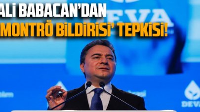 Ali Babacan'dan 'Montrö bildirisi' açıklaması: 'Bu acı hafıza depreştirilmemeli'