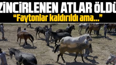 Zincirlenen atlar öldü!