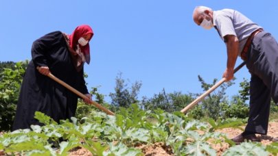 Beykoz'un önceliği tarım