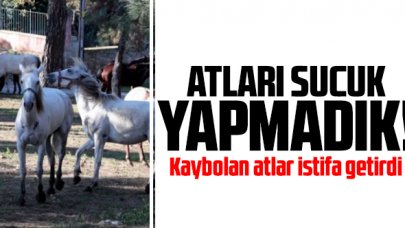 Atları sucuk yapmadık!