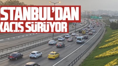 İstanbul'da TEM Otoyolu'nda trafik yoğunluğu yaşanıyor