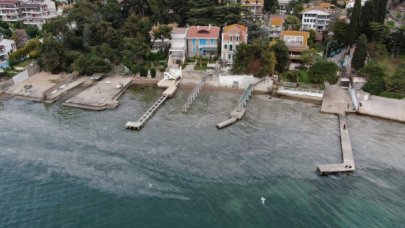 Büyükada'yı salya sardı