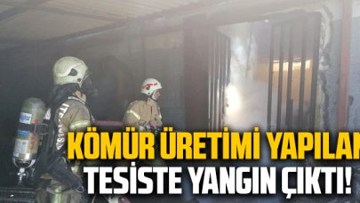 Silivri'deki mangal kömürü üretimi tesisinde yangın