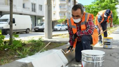 Esenyurt'ta bordürler boyanıyor