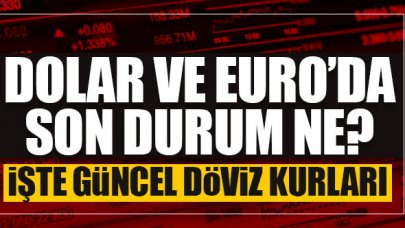 26 Mayıs 2021 Çarşamba dolar ve euro fiyatları! Dolar/TL kaç lira? Euro/Tl kaç lira?