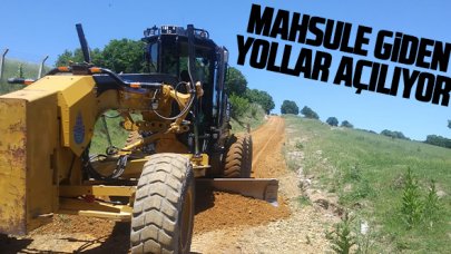 Mahsule giden yollar açılıyor