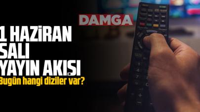 1 Haziran 2021 Salı Atv, Kanal D, Show Tv, Star Tv, FOX Tv, TV8, TRT1 ve Kanal 7 yayın akışı