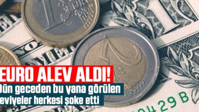 Euro alev aldı! 2 Haziran Çarşamba Euro kaç lira?