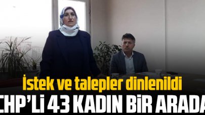 43 mahalleden sorumlu CHP’li kadınlar bir arada