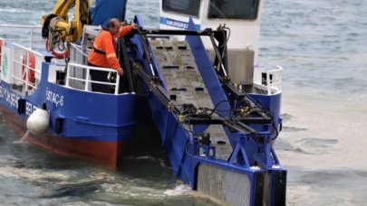 Kartal sahilleri deniz salyasından temizleniyor