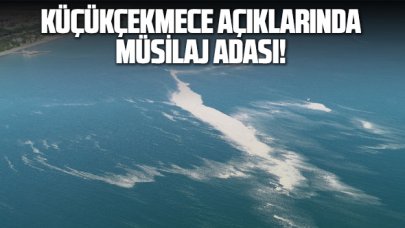 Küçükçekmece açıklarında müsilaj adası