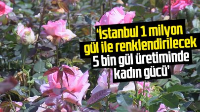 İstanbul'a 1 milyon gül!