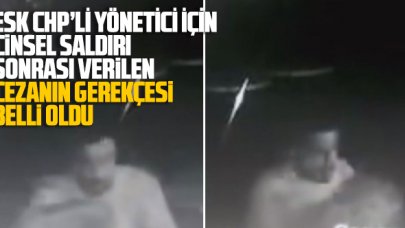 Eski CHP'li yöneticiye cinsel saldırı sebebiyle verilen cezanın gerekçesi belli oldu