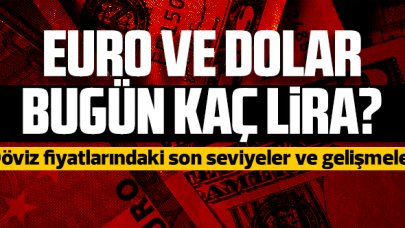 17 Haziran 2021 Perşembe dolar ve euro fiyatları! Dolar/TL kaç lira? Euro/Tl kaç lira?