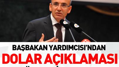 Şimşek'ten dolar açıklaması