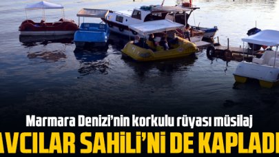 Avcılar Sahili'ni müsilaj kapladı 