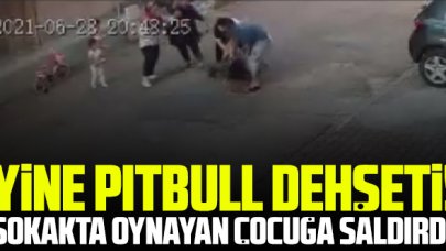 Kartal'da dehşet! Pitbull sokakta oynayan çocuğa saldırdı