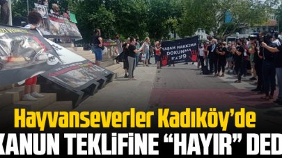 Hayvanseverler kanun teklifine ‘hayır’ dedi