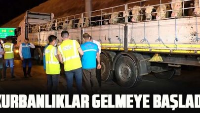 Kurbanlıklar gelmeye başladı