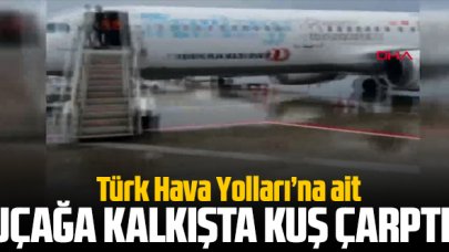 THY uçağına kalkışta kuş çarptı