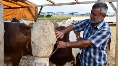 Silivri Belediyesi'nden 95 kurban satış yeri