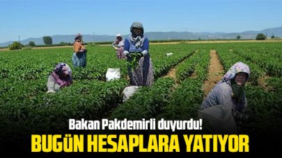 Bakan Pakdemirli: Üreticilere 420,5 milyon liralık destek ödemelerine başlıyoruz