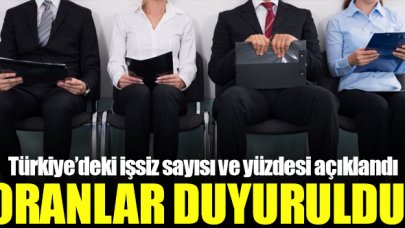 TÜİK işsizlik oranlarını açıkladı