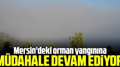 Mersin'deki orman yangınına müdahale sürüyor