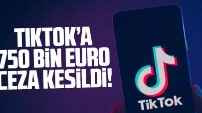 Tiktok'a 750 bin euro ceza!