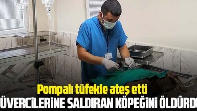 Feridun Ortayol güvercinlerine saldıran köpeğini öldürdü