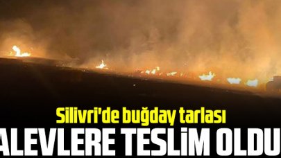 Silivri'de buğday tarlası yandı!