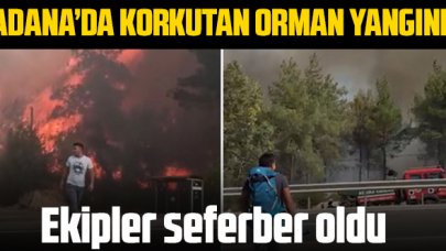 Adana'nın 2 ilçesinde korkutan orman yangını! Ekipler seferber oldu