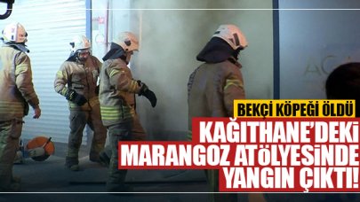 Kağıthane'deki yangında bekçi köpeği öldü