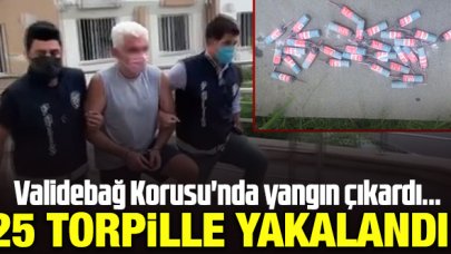 Validebağ Korusu'nda torpil atıp yangın çıkardı; "oğluma öğretiyordum" dedi