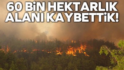 60 bin hektarlık alanı kaybettik!