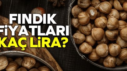 14 Ağustos 2021 Cumartesi fındık fiyatları | Fındık kaç lira? Trabzon, Giresun, Ordu, Sakarya fındık fiyatları