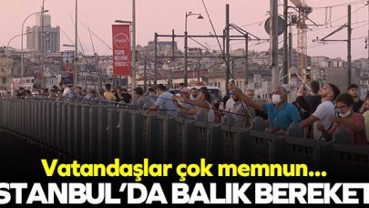 Galata Köprüsü'nde balık bereketi