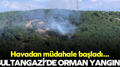 Sultangazi'de orman yangını