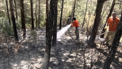 Sultangazi'de orman yangını söndürüldü