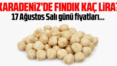 17 Ağustos 2021 Salı fındık fiyatları | Fındık kaç lira? Trabzon, Giresun, Ordu, Sakarya fındık fiyatları