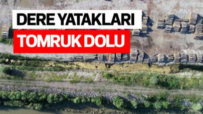 Batı Karadeniz'de dere kenarları tomruk dolu