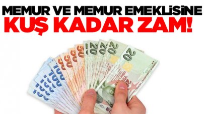 Milyonlarca memur ve memur emeklisine kuş kadar zam!