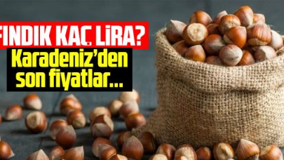 26 Ağustos 2021 Perşembe fındık fiyatları | Fındık kaç lira?